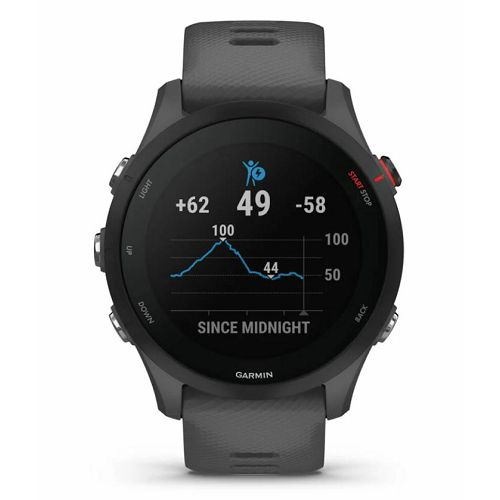 Pametni sat GARMIN Forerunner 255 slate grey, 010-02641-10-2