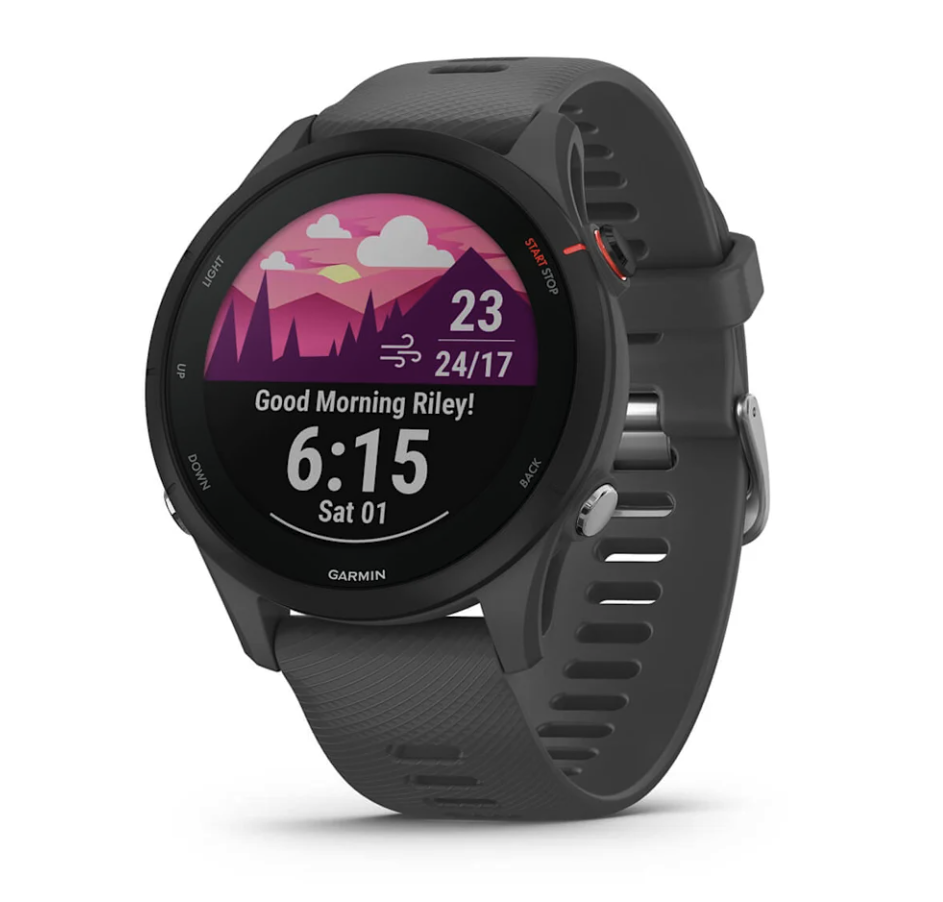 Pametni sat GARMIN Forerunner 255 slate grey, 010-02641-10-0