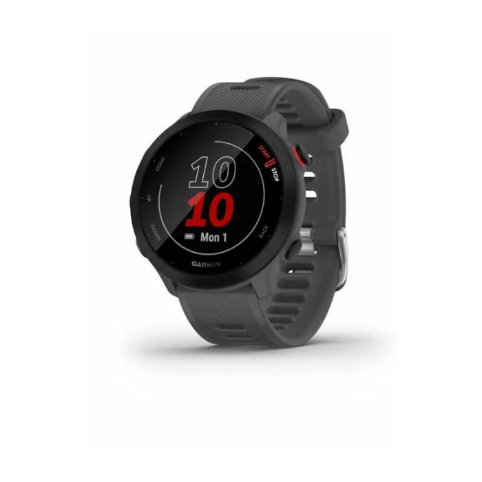 Pametni sat GARMIN Forerunner 55, Monterra Grey, 010-02562-13-0