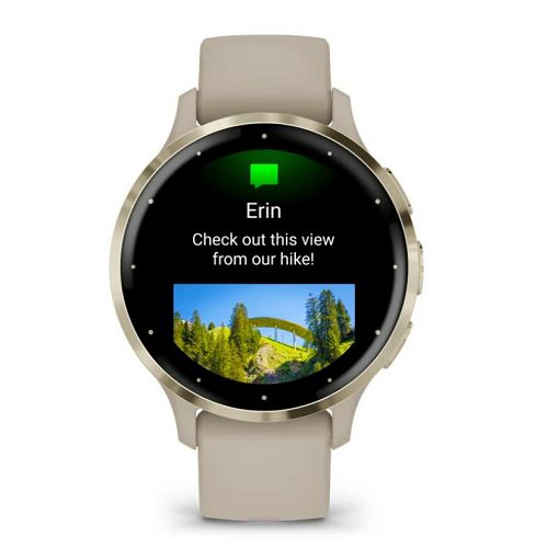 Pametni sat GARMIN Venu 3S, Soft Gold Stainless Steel Bezel with French Gray Case and Silicone Band, 41mm, 010-02785-02-2