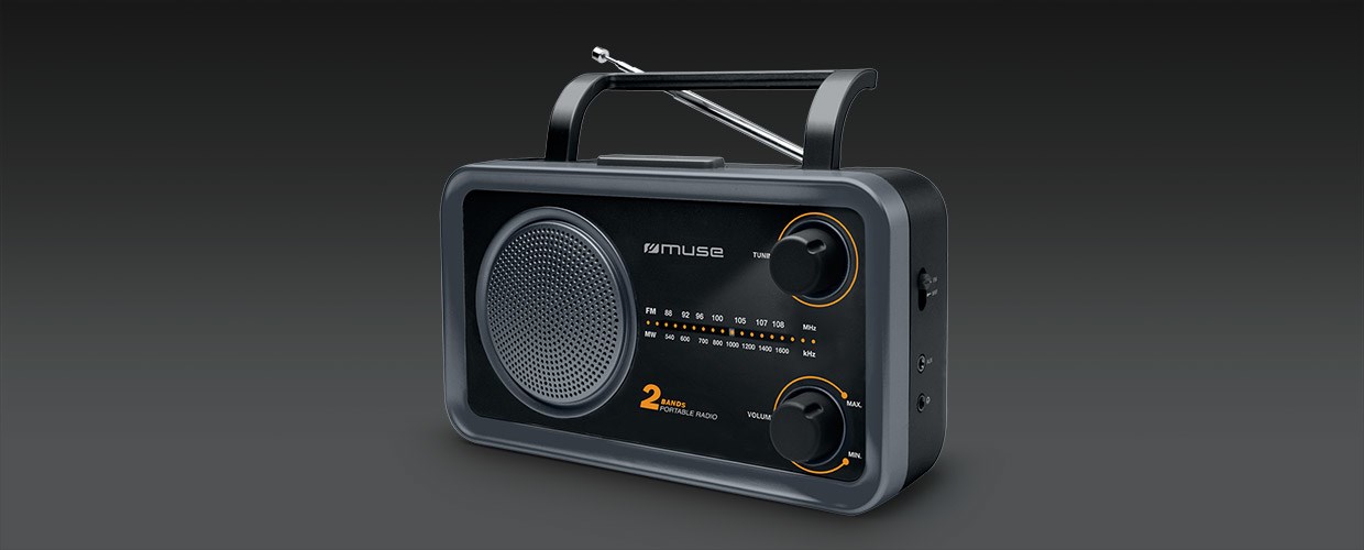 Prijenosni radio MUSE M-06DS (siva, 2-banda, AUX ulaz)-1