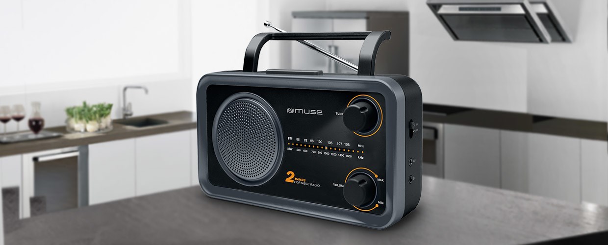 Prijenosni radio MUSE M-06DS (siva, 2-banda, AUX ulaz)-2