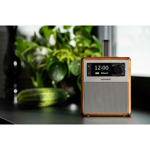 Prijenosni radio SONORO Easy walnut-4