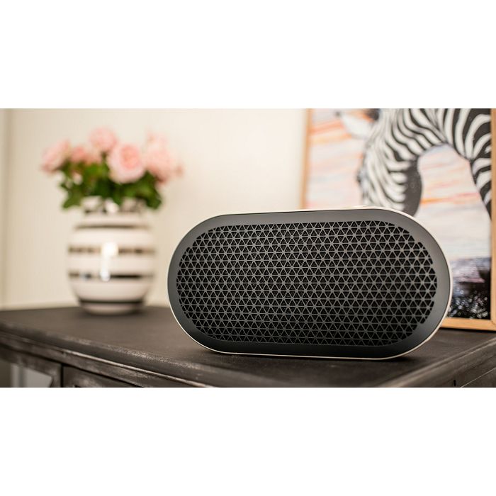 Bluetooth zvučnik DALI Katch G2 iron crna (Bluetooth, baterija 30h)-1