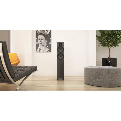 Zvučnici ACOUSTIC ENERGY AE109² crni (par)-2