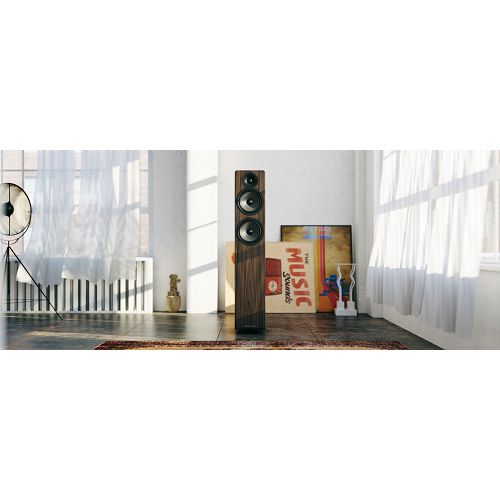 Zvučnici ACOUSTIC ENERGY AE109² walnut (par)-3