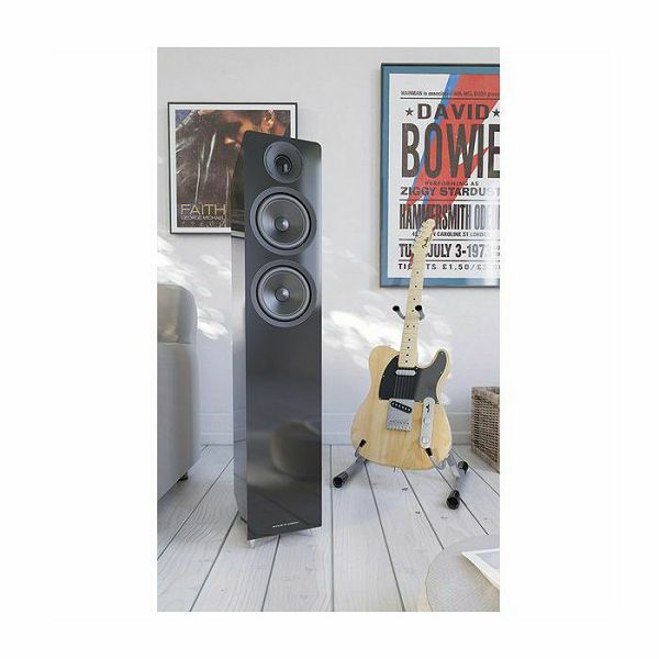 Zvučnici ACOUSTIC ENERGY AE309 piano crna (par)-2