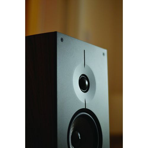 Zvučnici ACOUSTIC ENERGY Corinium black (par)-5