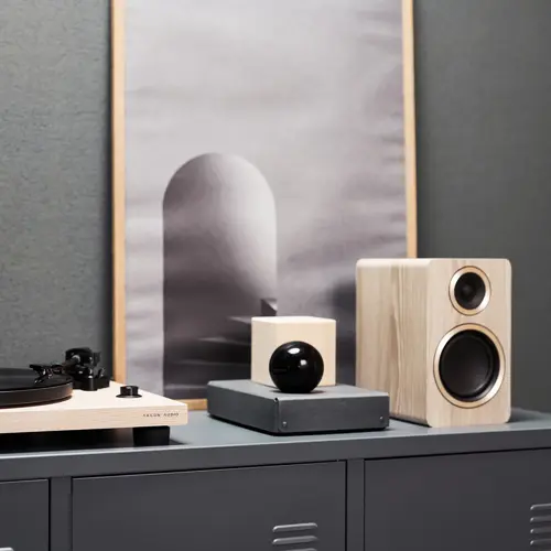 Zvučnici ARGON AUDIO Fenris A4 ash (par)-4