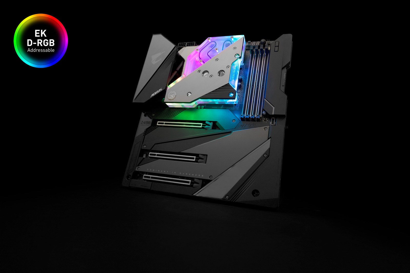 EK Water Blocks EK-Quantum Momentum AORUS Z490 Xtreme D-RGB - Acrylic-6