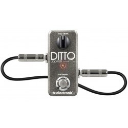 TC Electronic Ditto Looper gitarska pedala (5 min, True Bypass)-0