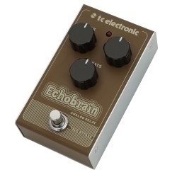 TC Electronic Echobrain Analog Delay Efekt typu delay analogowy-1