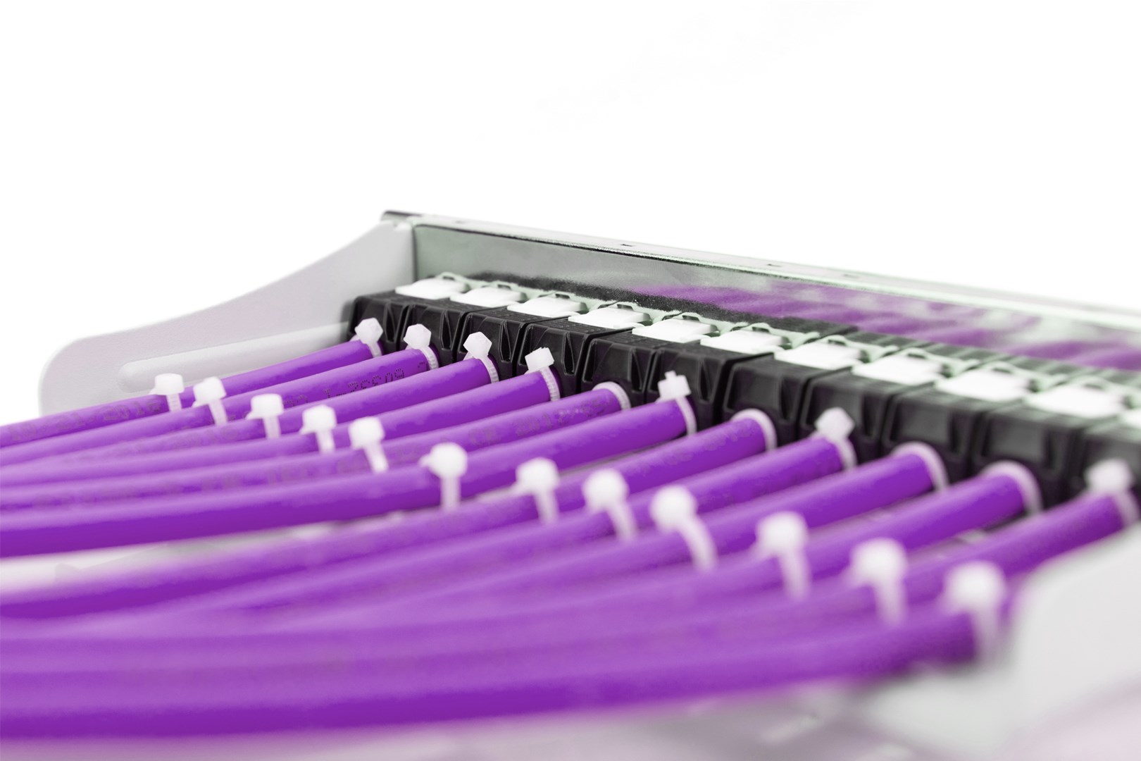 DIGITUS CAT 6 U-UTP Kabel (250 MHz, Dca, AWG 23/1, 500m, Lila)-5