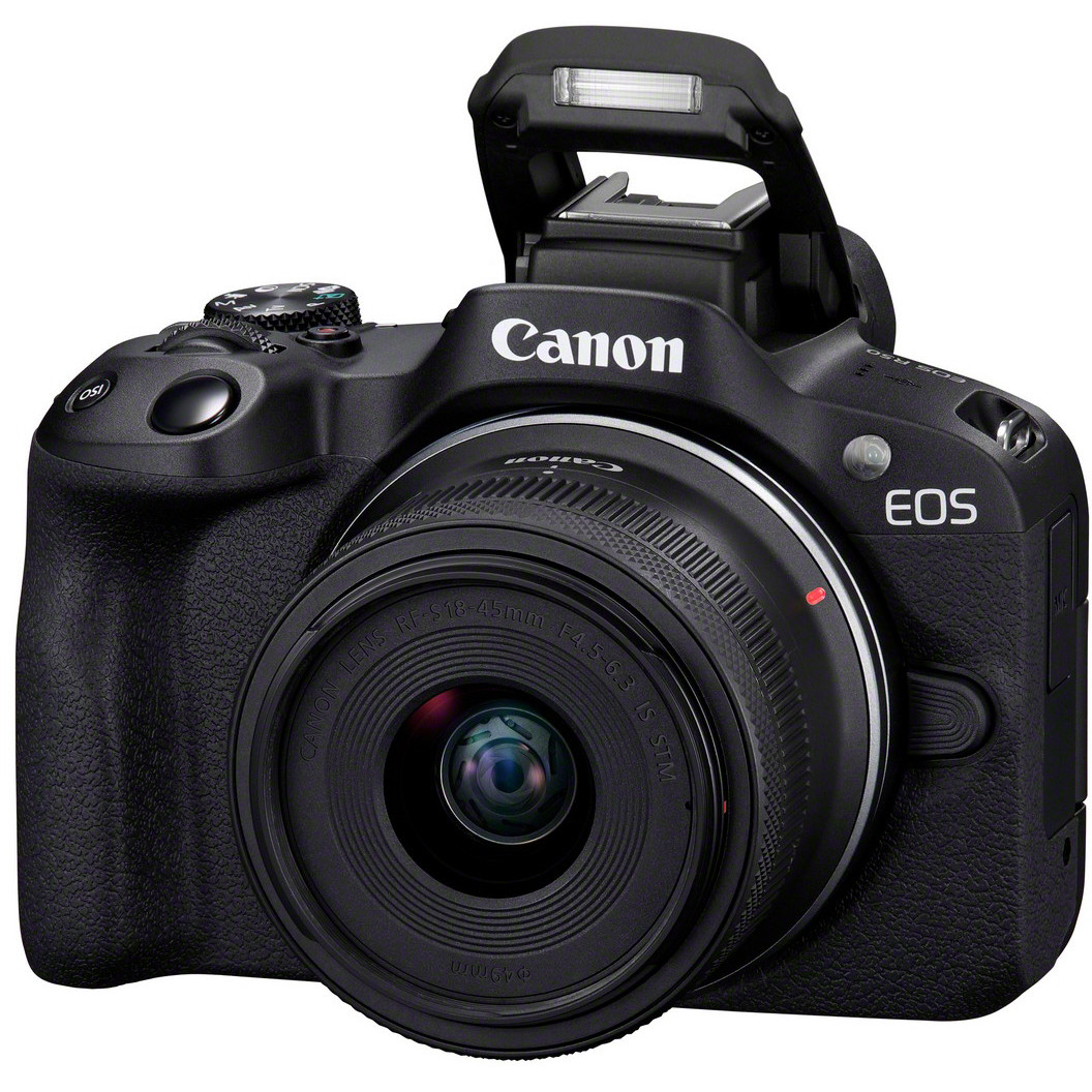 Digitalni fotoaparat, CANON, EOS 200D (24.2 MP, stabilizator slike, ISO 32000, dijagonala ekrana 2.95", Wi-Fi, snimanje videa, automatski, ručni, CMOS, crna)-4