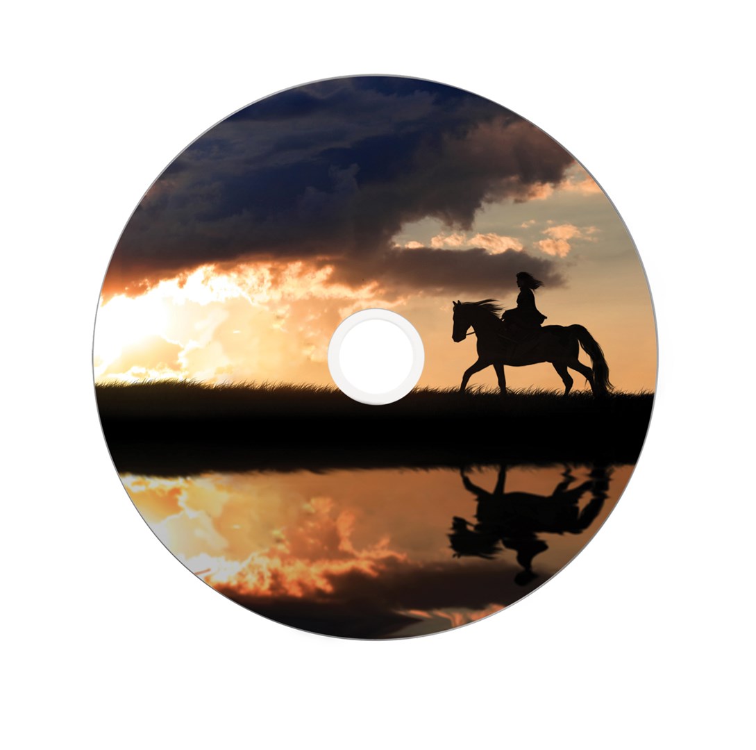 DVD+R DL VERBATIM 43667 (8.5 GB, 25 komada)-3