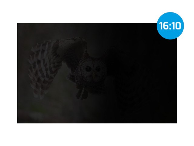 PRIVACY FILTER GDPR NATEC OWL 16" 16:10-7