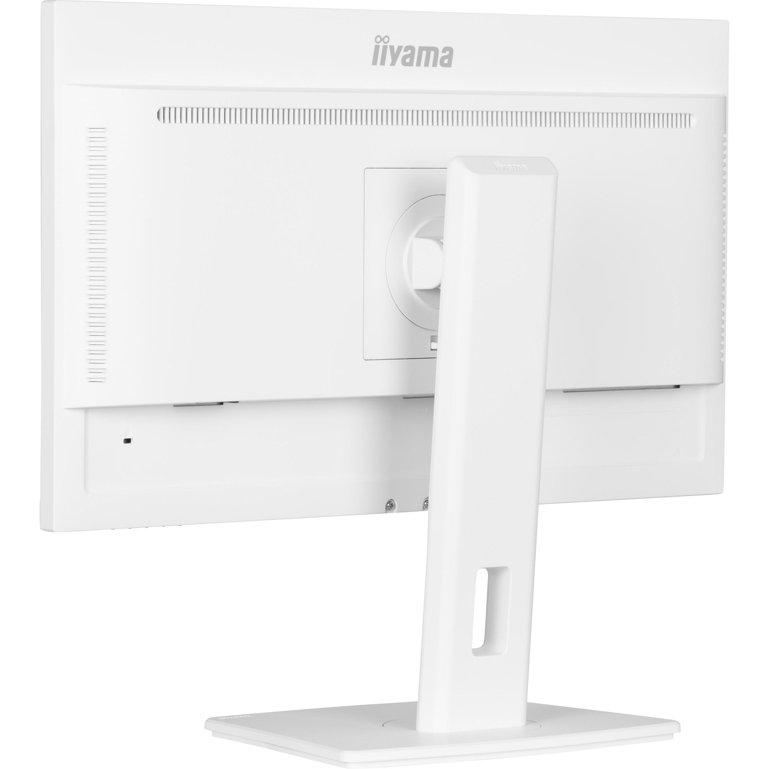 Monitor IIYAMA ProLite XUB2497HSN-W2 (24'', 1920x1080, IPS, 100 Hz, HDMI/DP/USB-C)-3