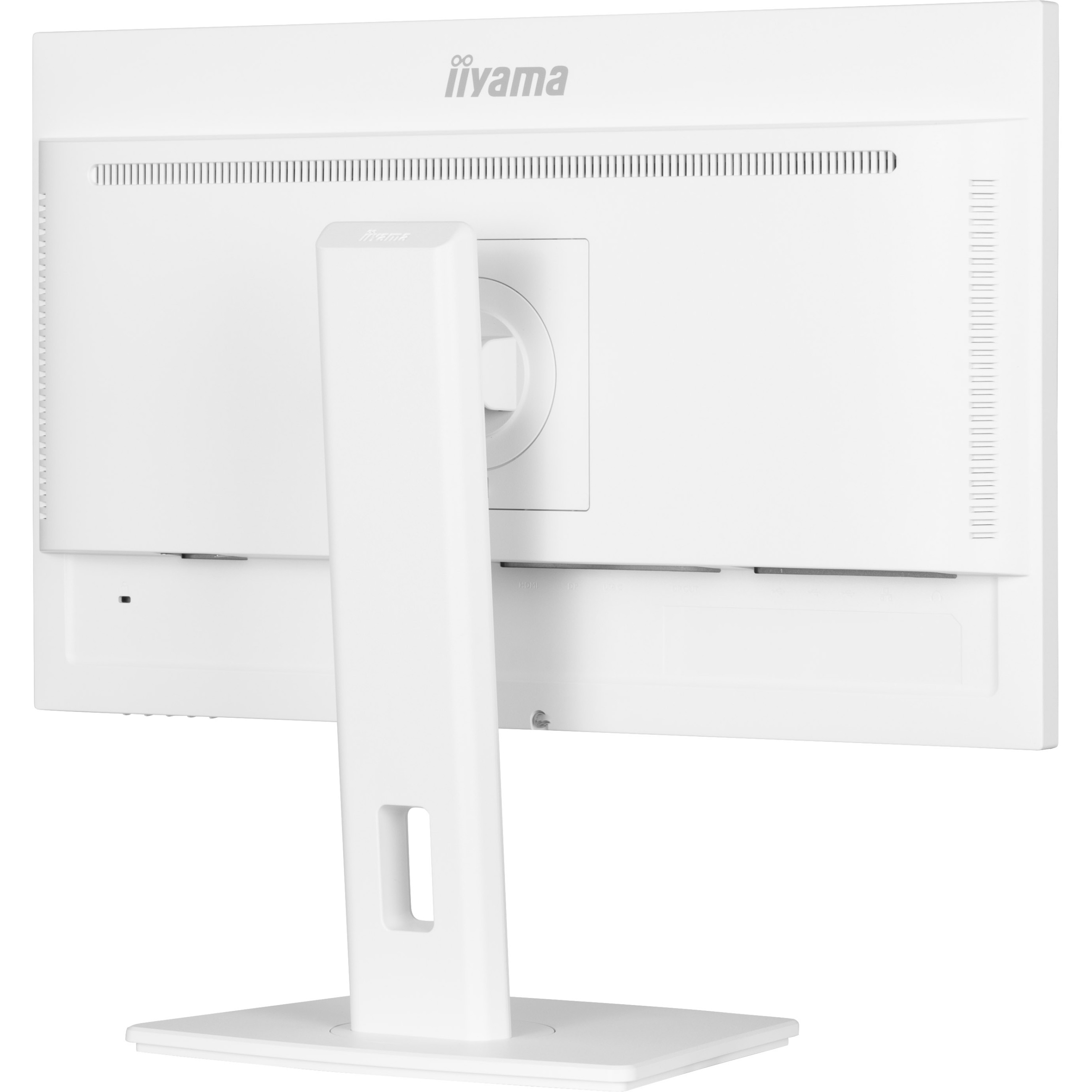 Monitor IIYAMA ProLite XUB2497HSN-W2 (24'', 1920x1080, IPS, 100 Hz, HDMI/DP/USB-C)-4