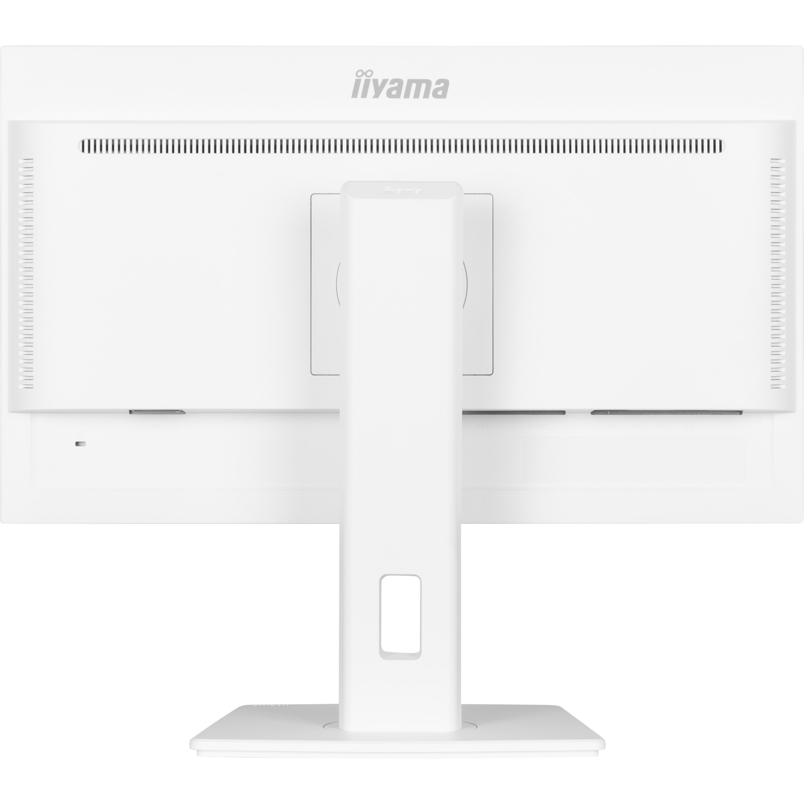 Monitor IIYAMA ProLite XUB2497HSN-W2 (24'', 1920x1080, IPS, 100 Hz, HDMI/DP/USB-C)-14