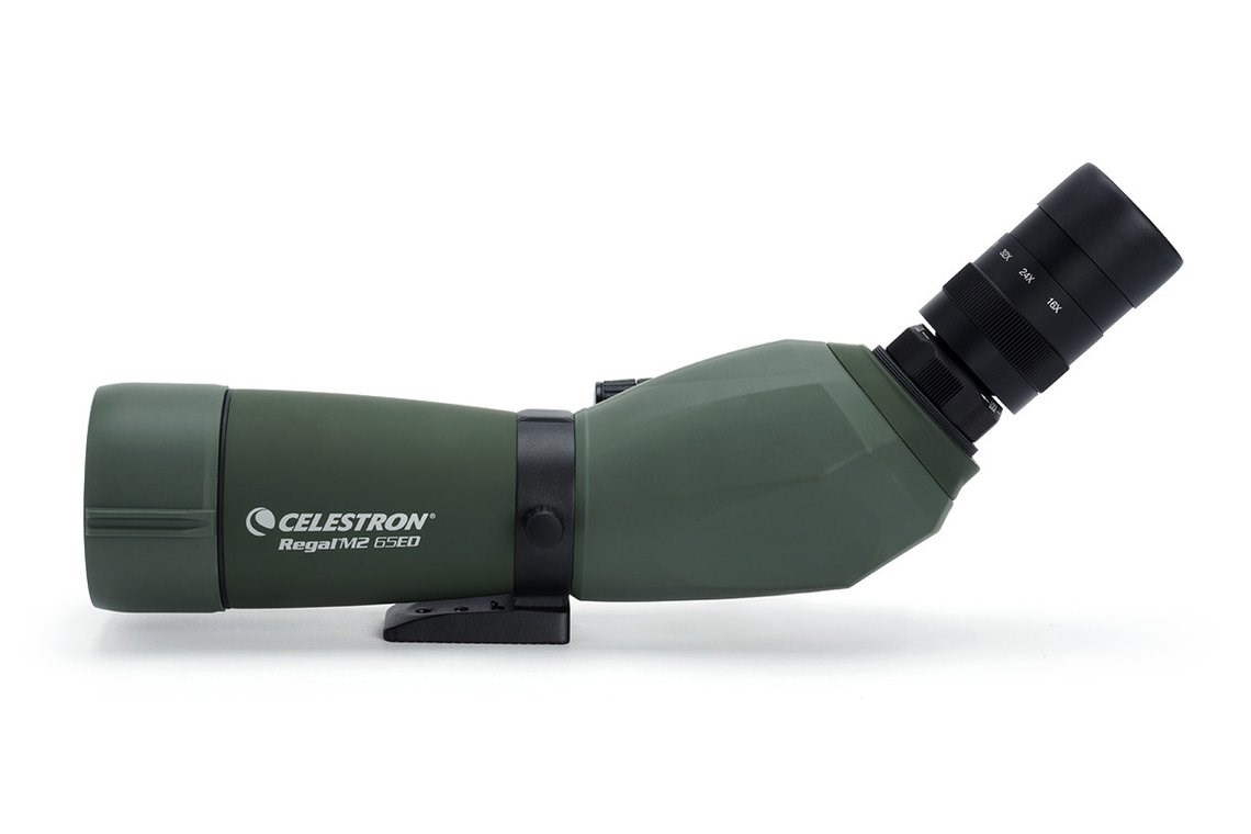 Durbin CELESTRON Regal M2 65ED (16-48x65mm, ED leće, vodootporan)-14