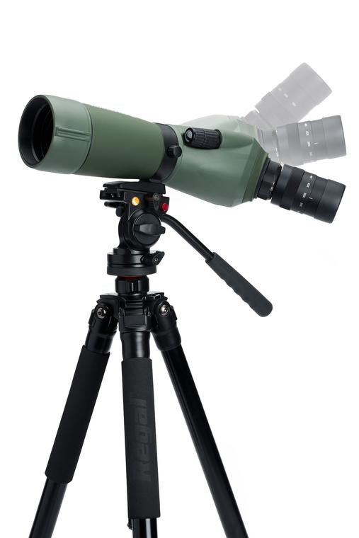 Durbin CELESTRON Regal M2 65ED (16-48x65mm, ED leće, vodootporan)-4