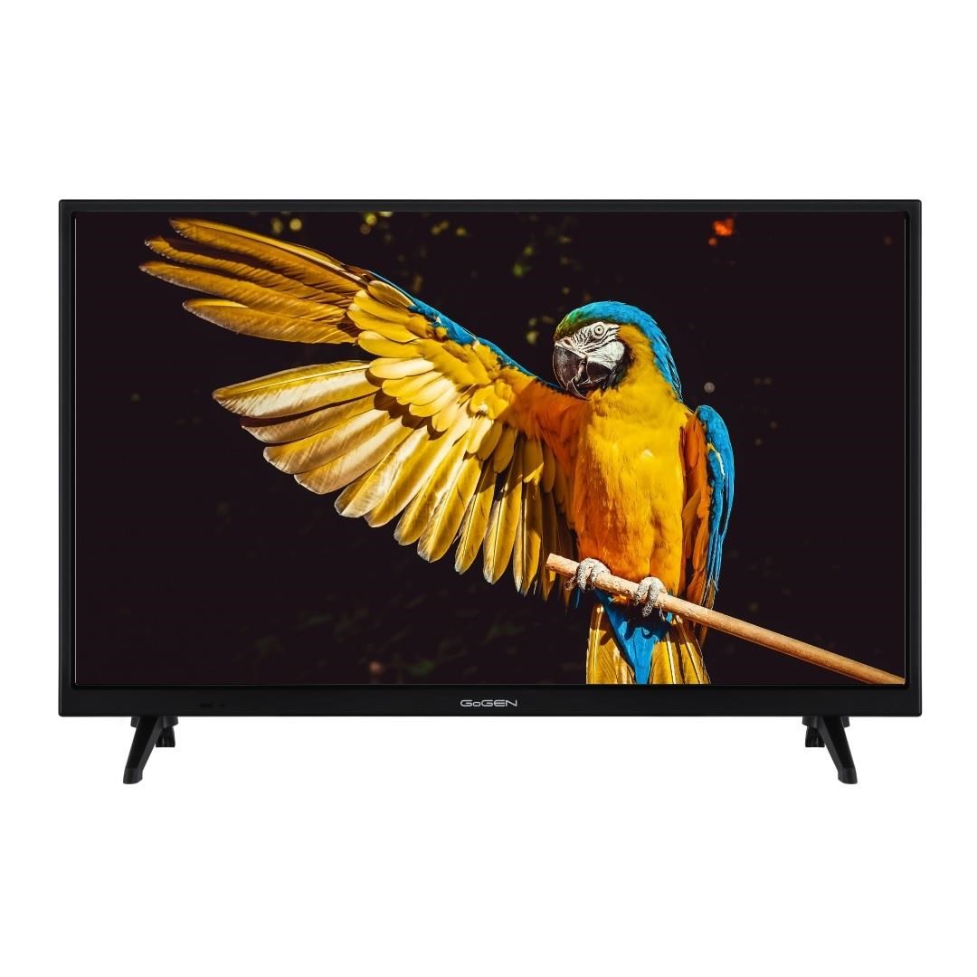 GoGEN TVH24A336 24" TV-0
