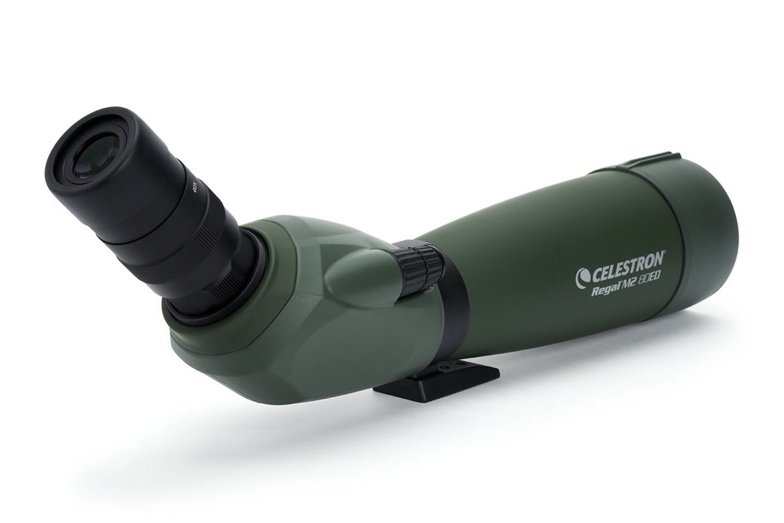 Dalekozor CELESTRON Regal M2 80ED (20-60x zoom, ED leće, vodootporan)-1