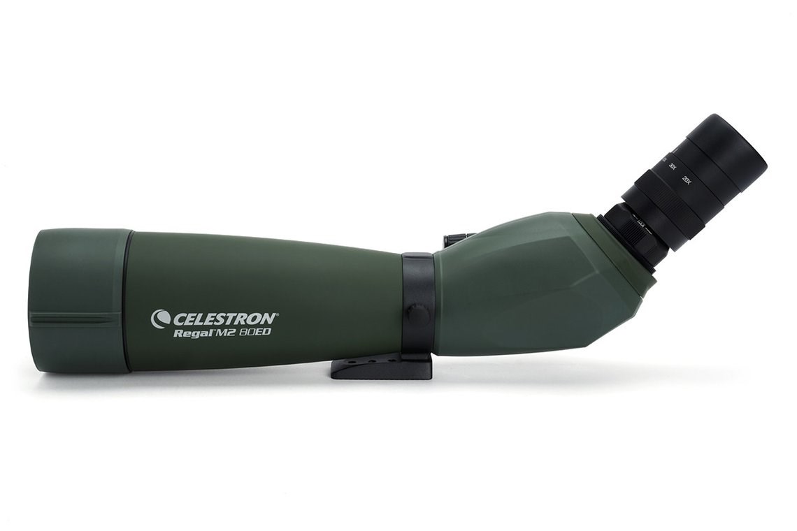 Dalekozor CELESTRON Regal M2 80ED (20-60x zoom, ED leće, vodootporan)-2