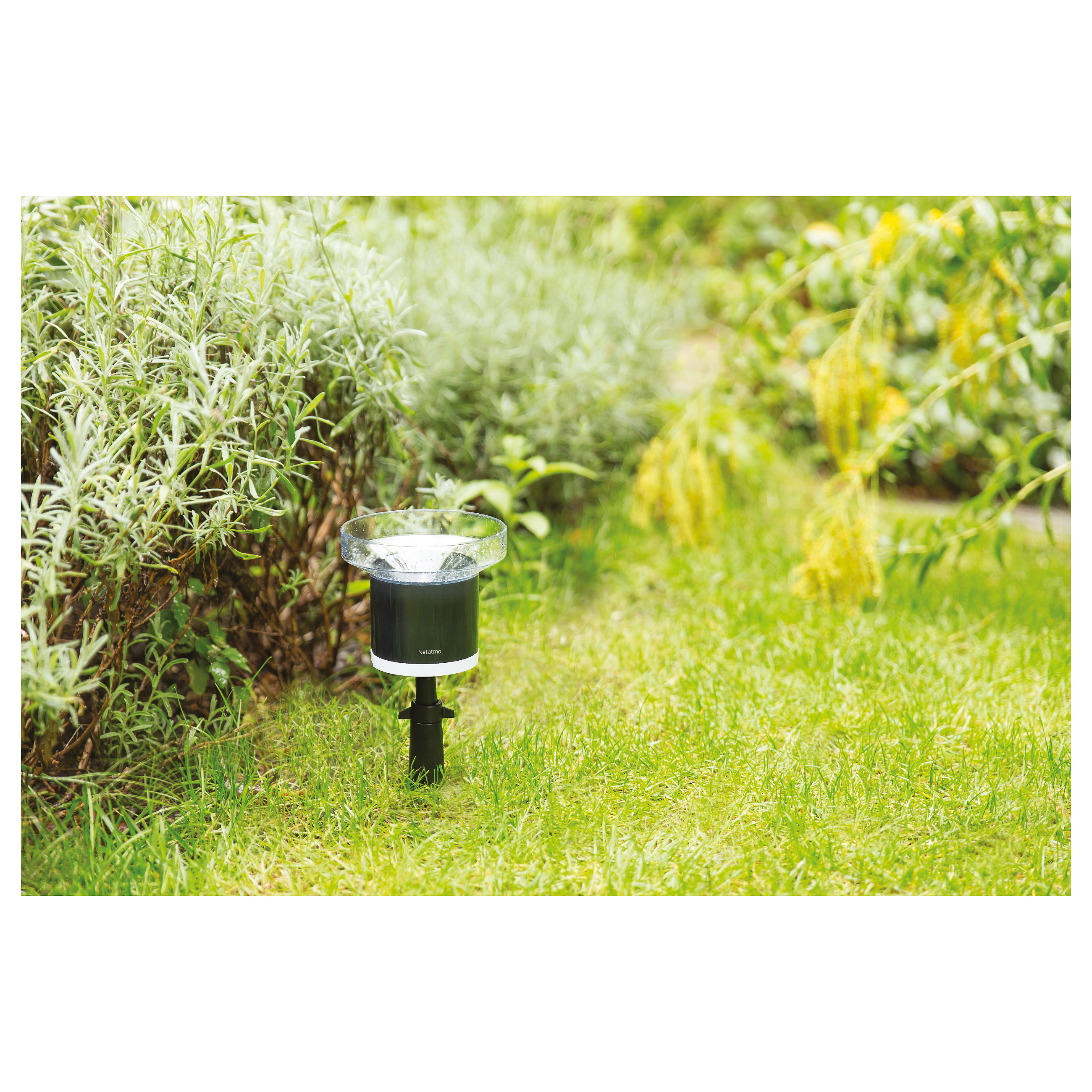 Pametni mjerač kiše NETATMO Smart Rain Gauge (dodatak za meteorološku stanicu)-3