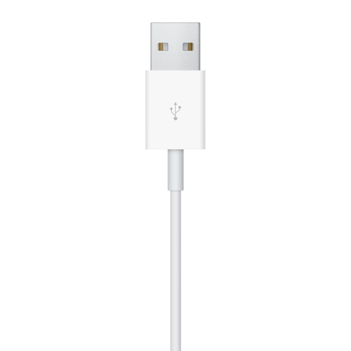 APPLE Watch Magnetic Charging Cable (1 m)-1