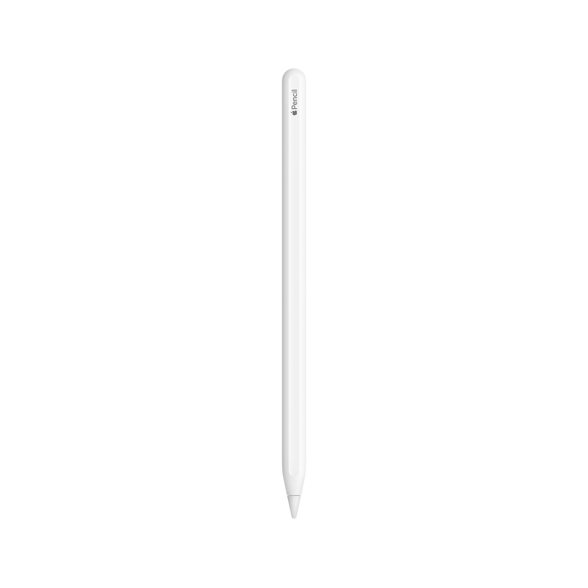 Olovka APPLE Pencil (2. generacija)
