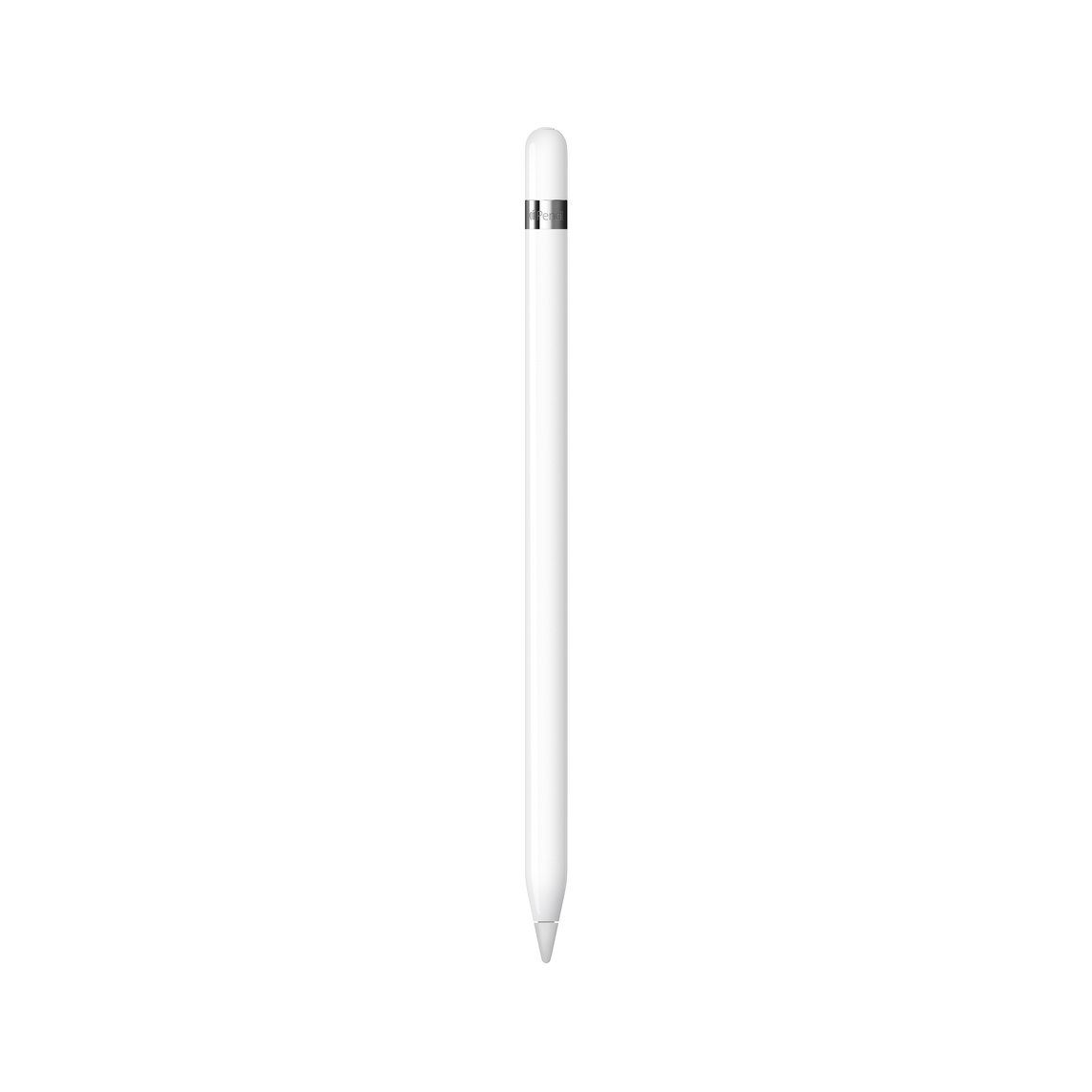 APPLE Pencil (1. generacija) (2025)