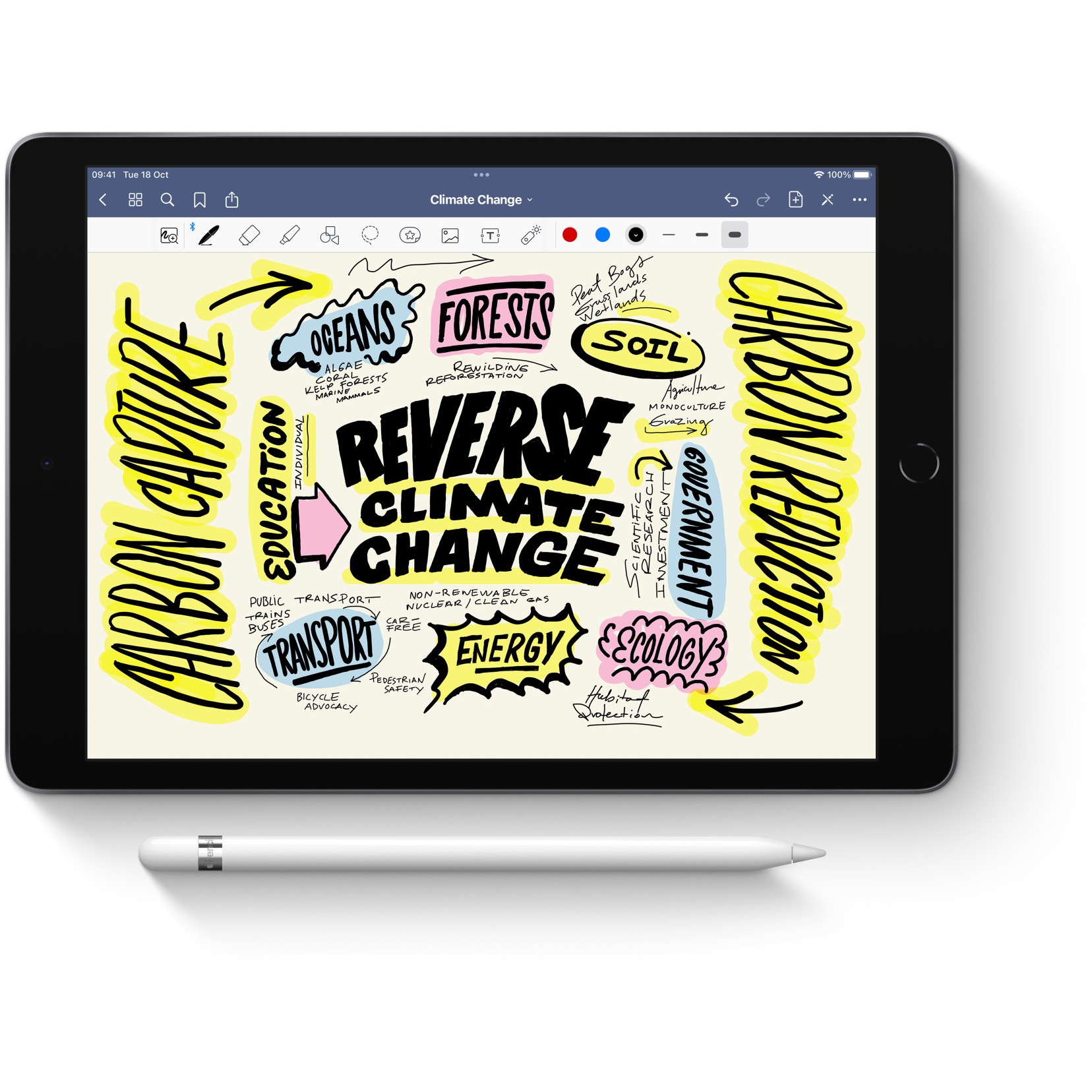 APPLE Pencil (1. generacija) (2025)-4
