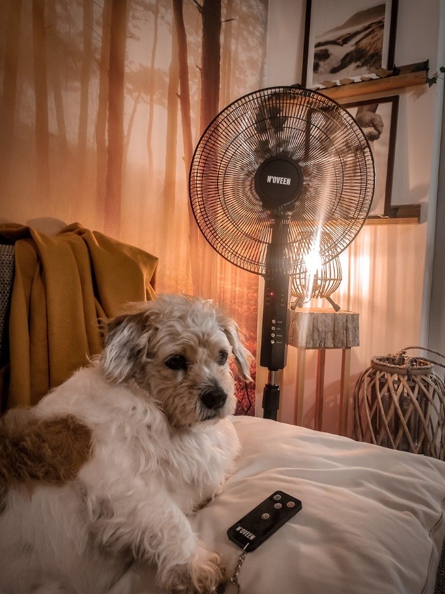 Ventilator N'OVEEN F455 16"/40 cm s daljinskim upravljačem, crna boja-4