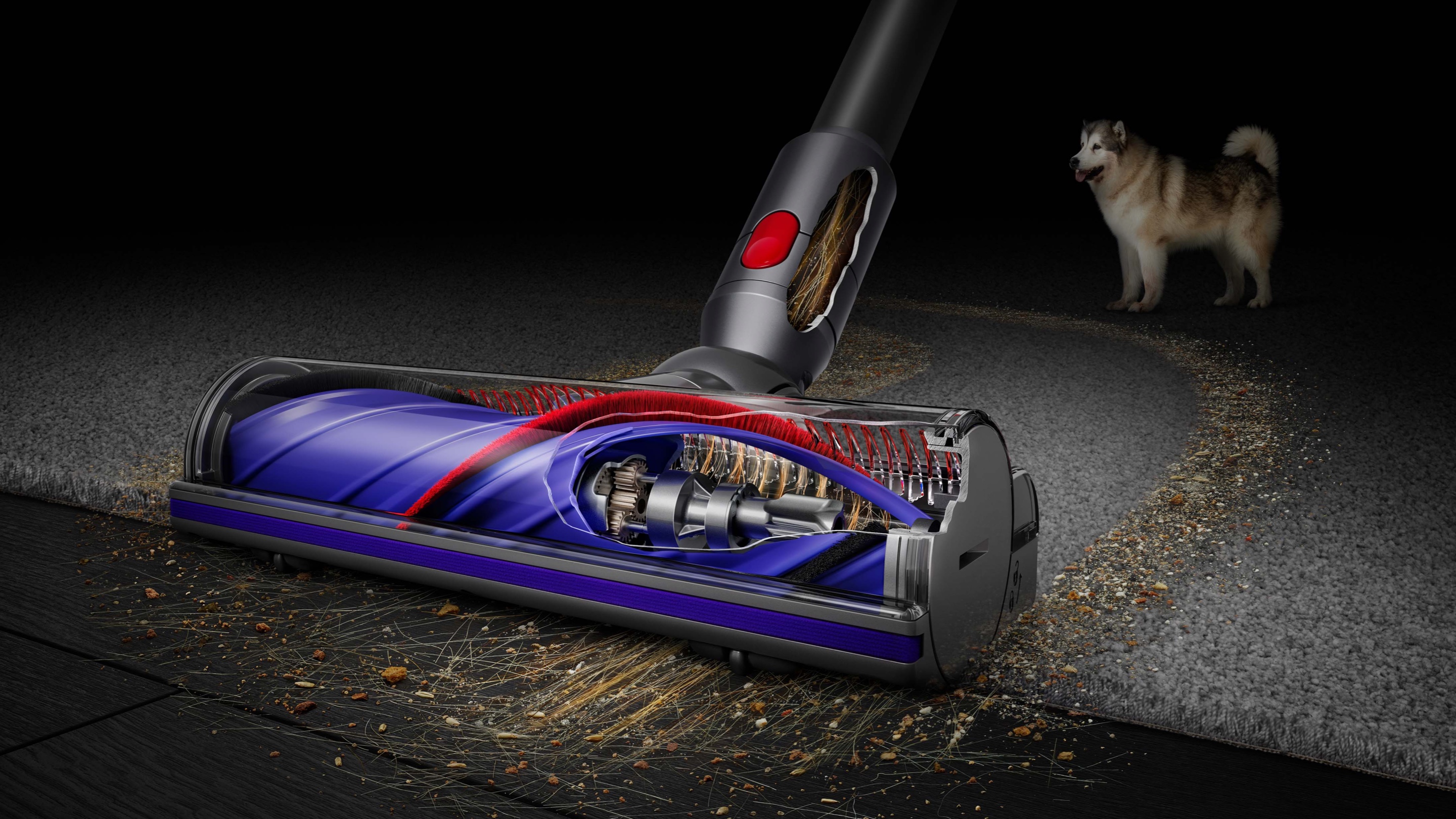 Štapni usisavač DYSON V8 (446969) D1111-5
