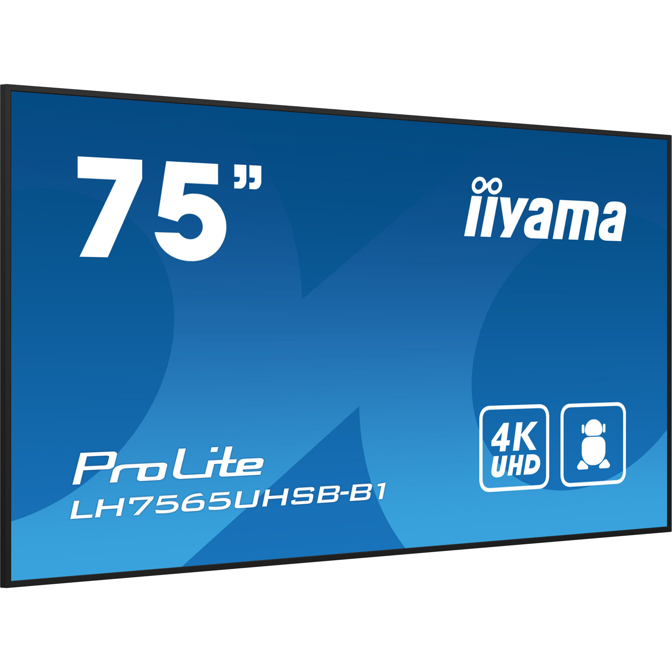 iiyama ProLite LH7565UHSB-B1 75" Class (74.5" viewable) LED-backlit LCD display - 4K - for digital signage-15