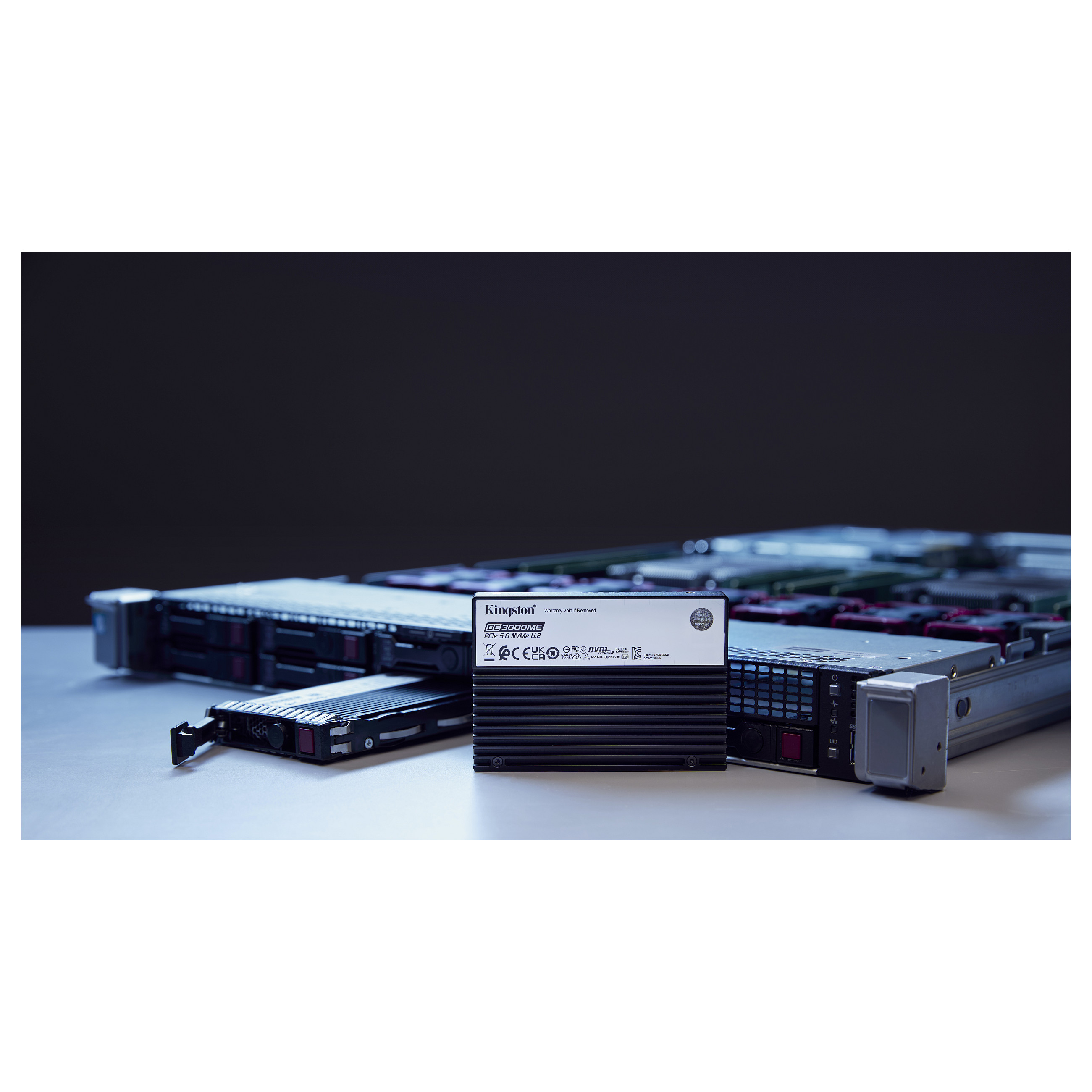 SSD KINGSTON DC3000ME (7,68TB, PCIe 5.0)-5