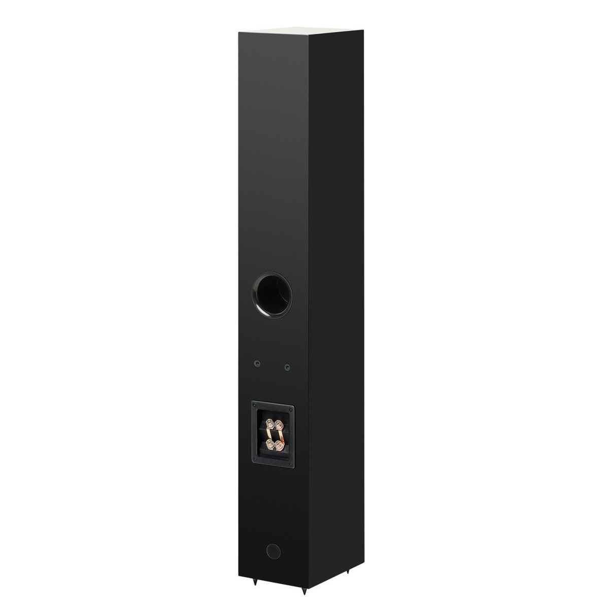 Zvučnici PRO-JECT Speaker Box 12 E CARBON satin black (par)-2