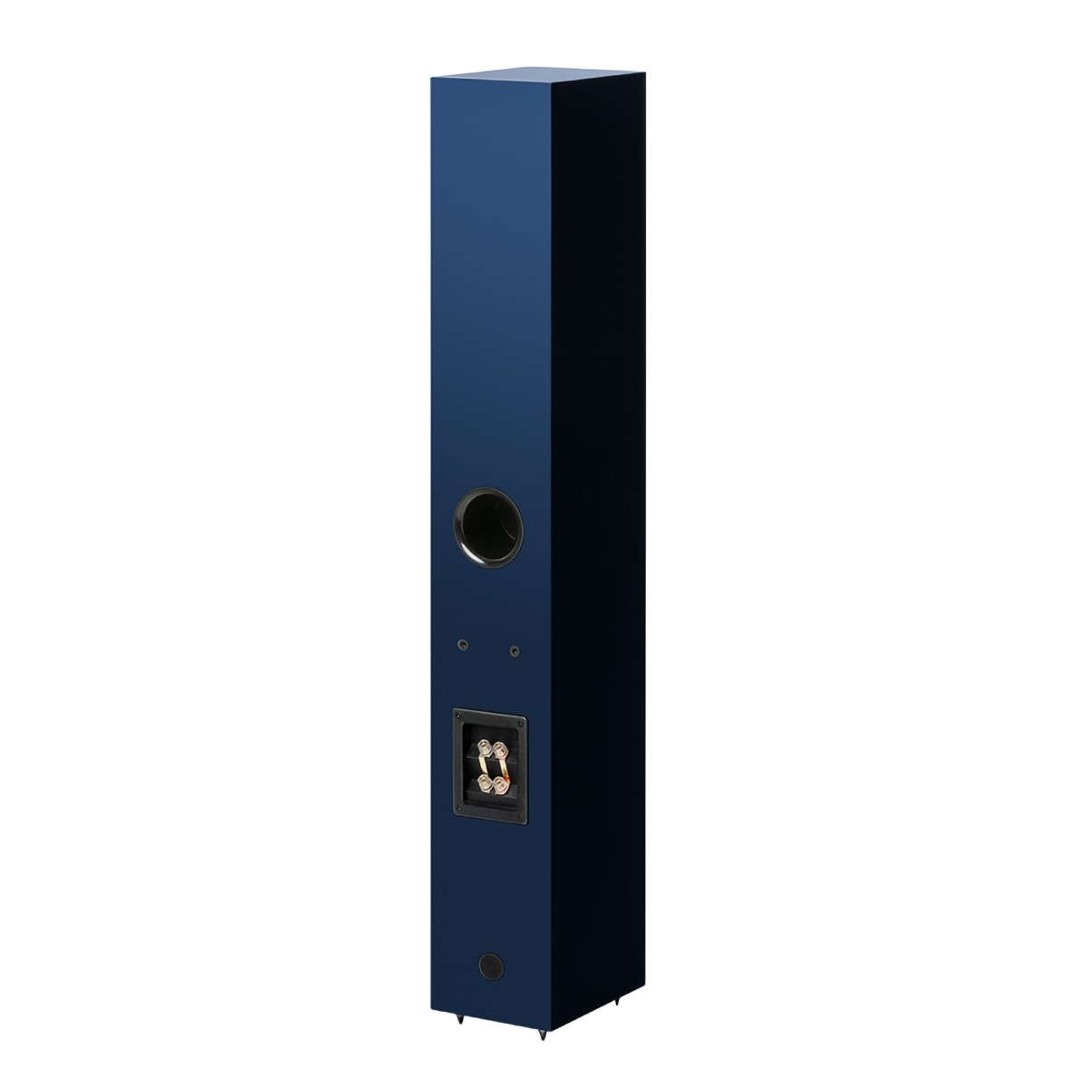 Zvučnici PRO-JECT Speaker Box 12 E CARBON satin blue (par)-2