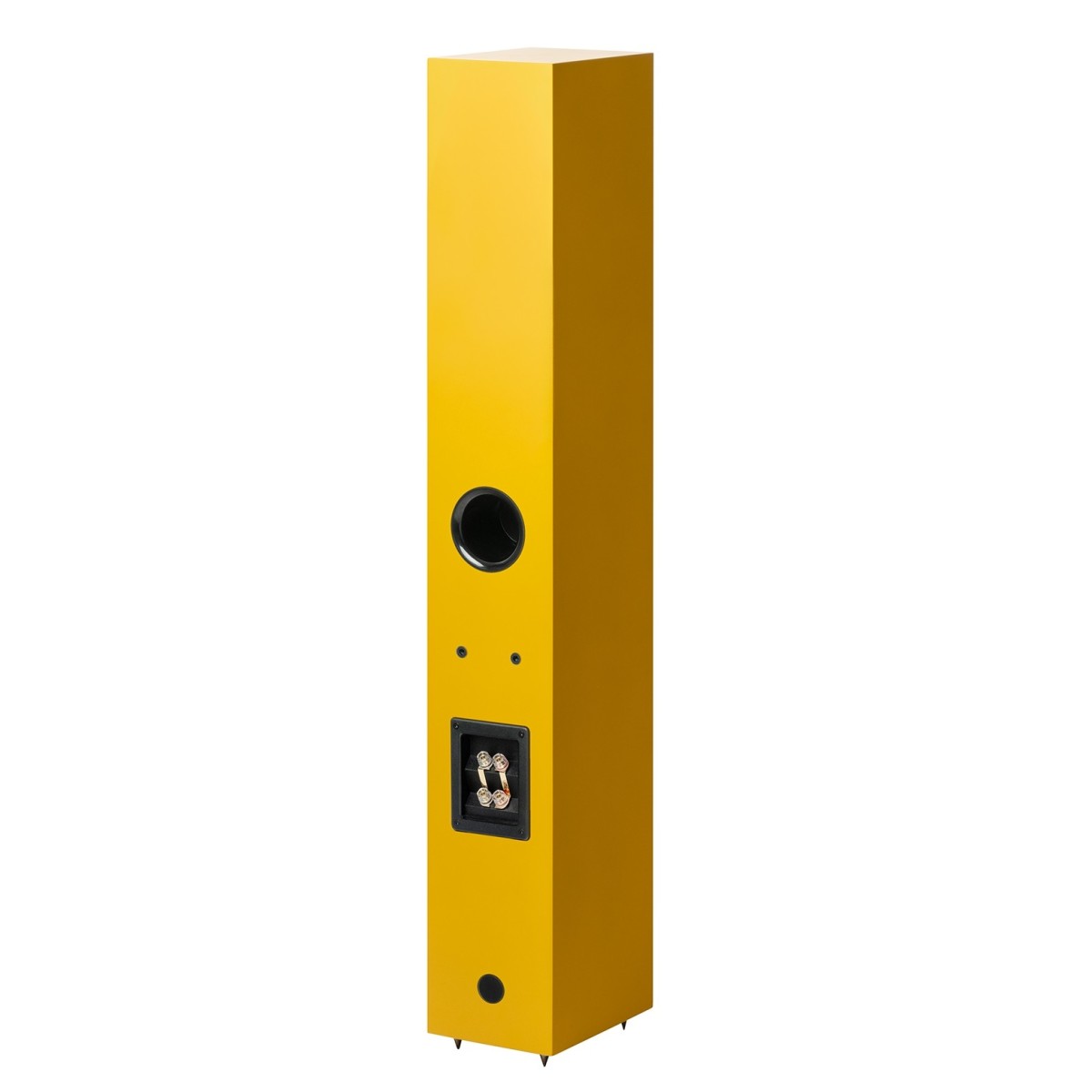 Zvučnici PRO-JECT Speaker Box 12 E CARBON satin yellow (par)-2