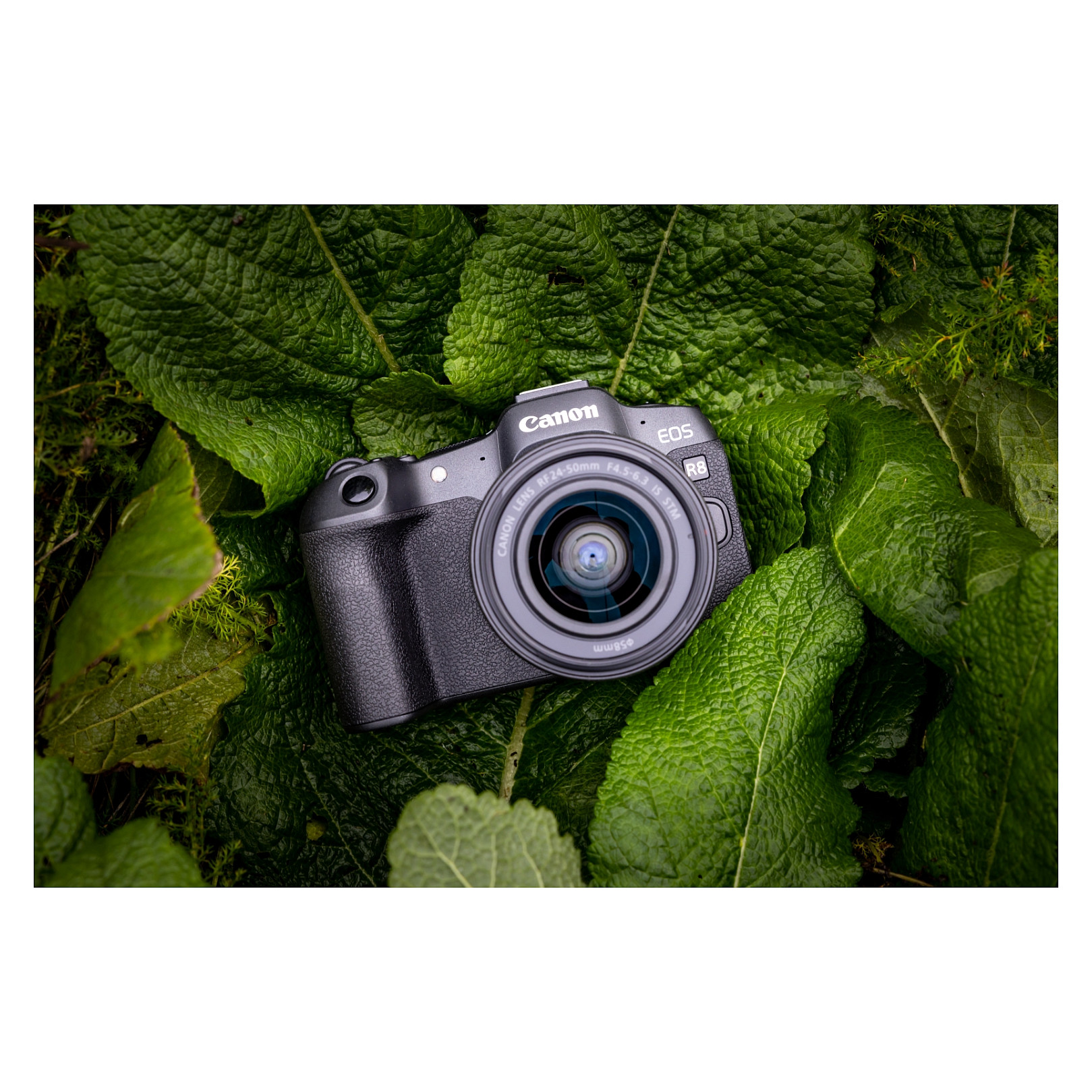 Fotoaparat CANON EOS R8 + RF 24-50mm f/4.5-6.3 IS STM-14