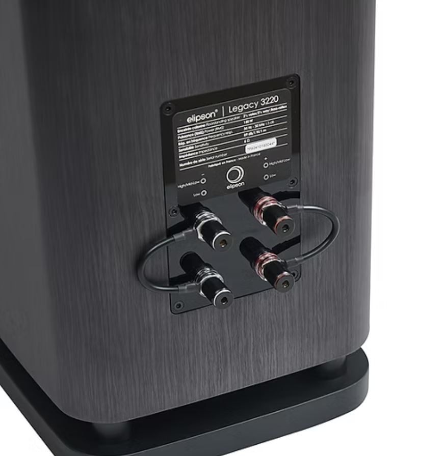 Zvučnici ELIPSON Legacy 3220 silver oak (par)-2