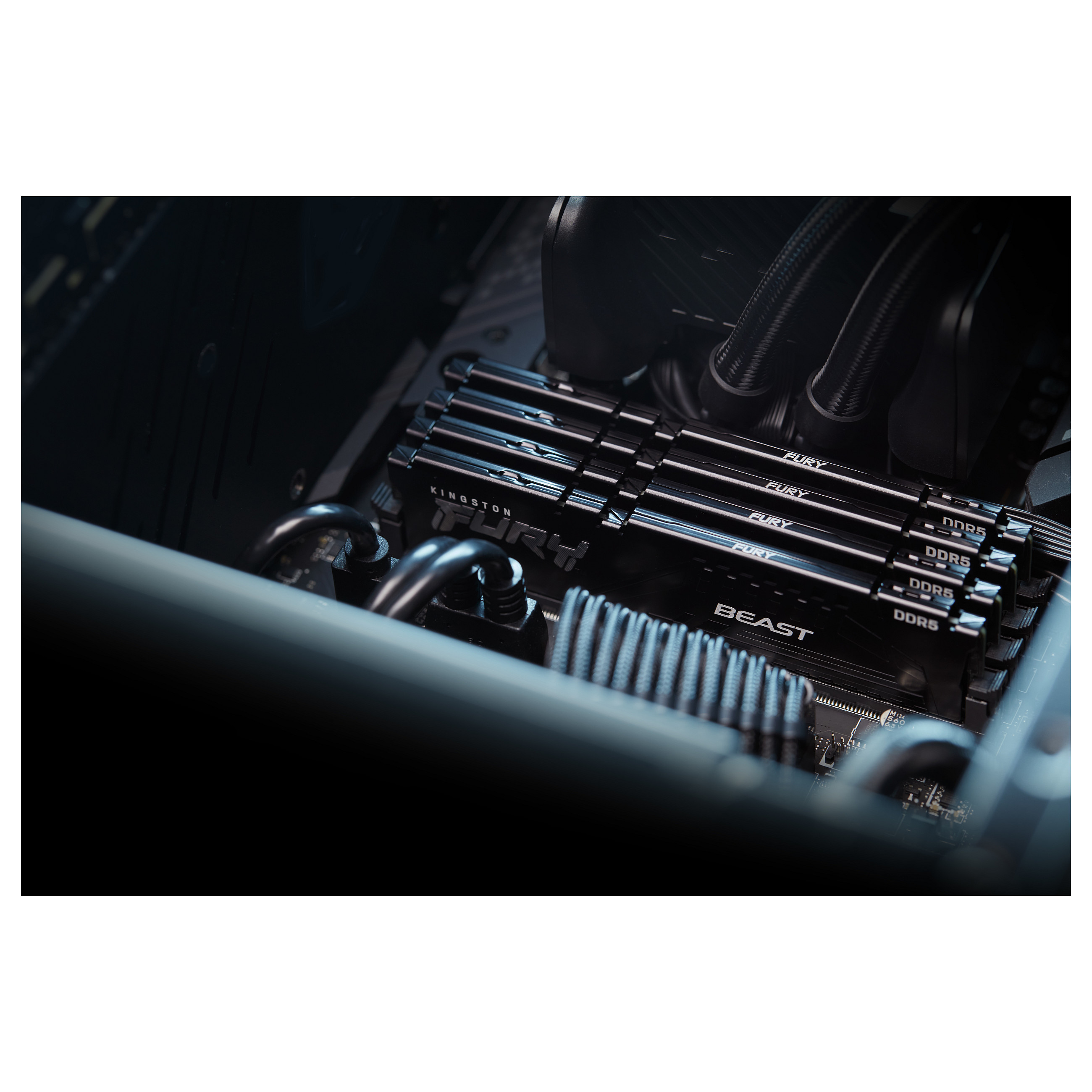 RAM KINGSTON KF556C36BBEK2-128 (128GB, 5600MT/s, DDR5, CL36, DIMM, kit of 2)-14