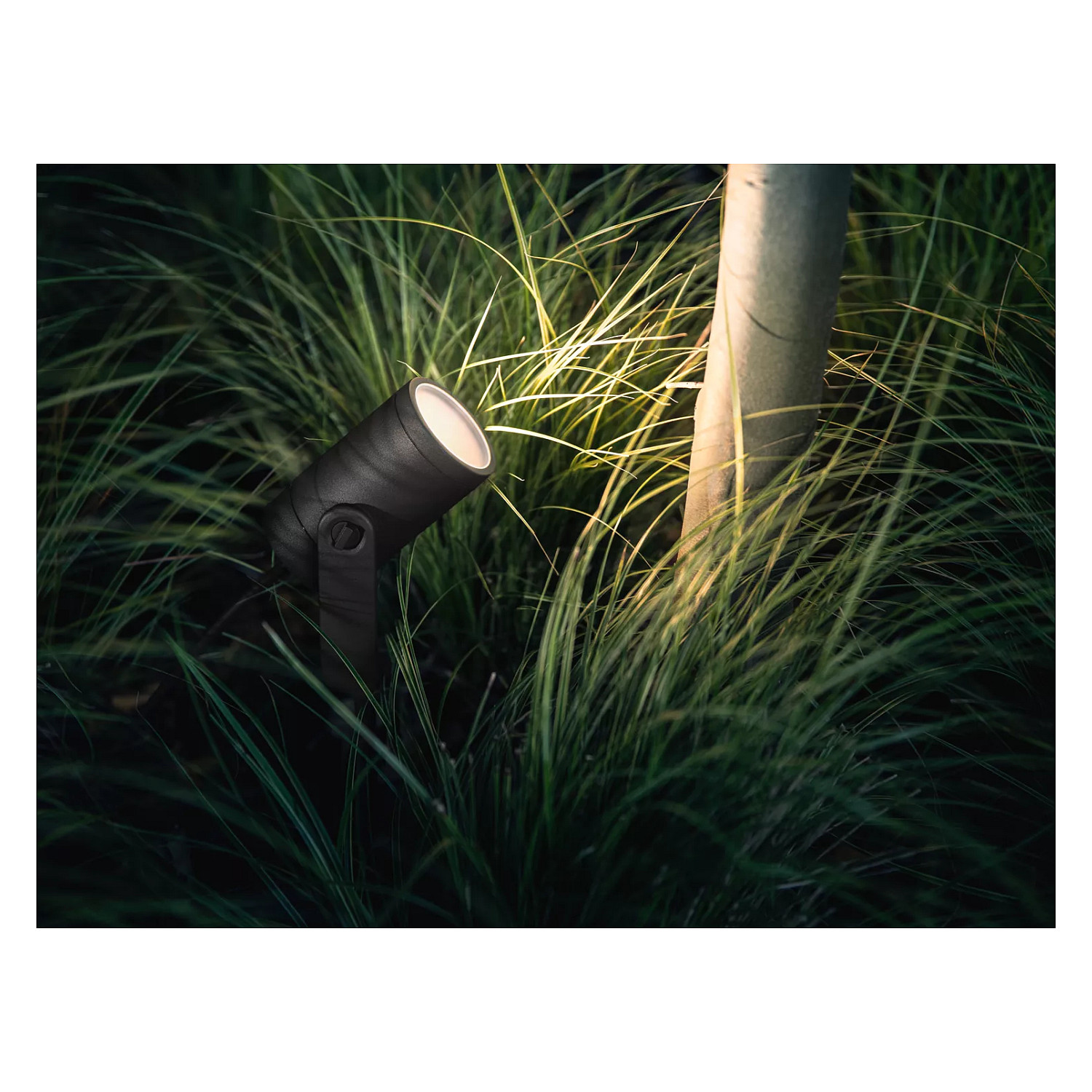 VANJSKI REFLEKTOR PHILIPS Hue Outdoor Spotlight Lily (White and Color Ambiance)-4
