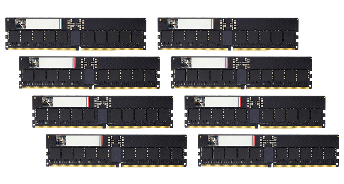 RAM memorija G.SKILL Aegis 5 (256GB (8x32GB), DDR5, 6000MHz, CL30, On-Die ECC)-0