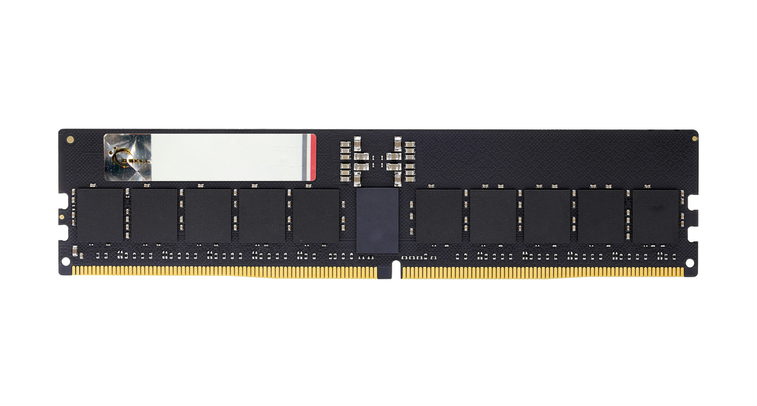RAM memorija G.SKILL Aegis 5 (256GB (8x32GB), DDR5, 6000MHz, CL30, On-Die ECC)-1
