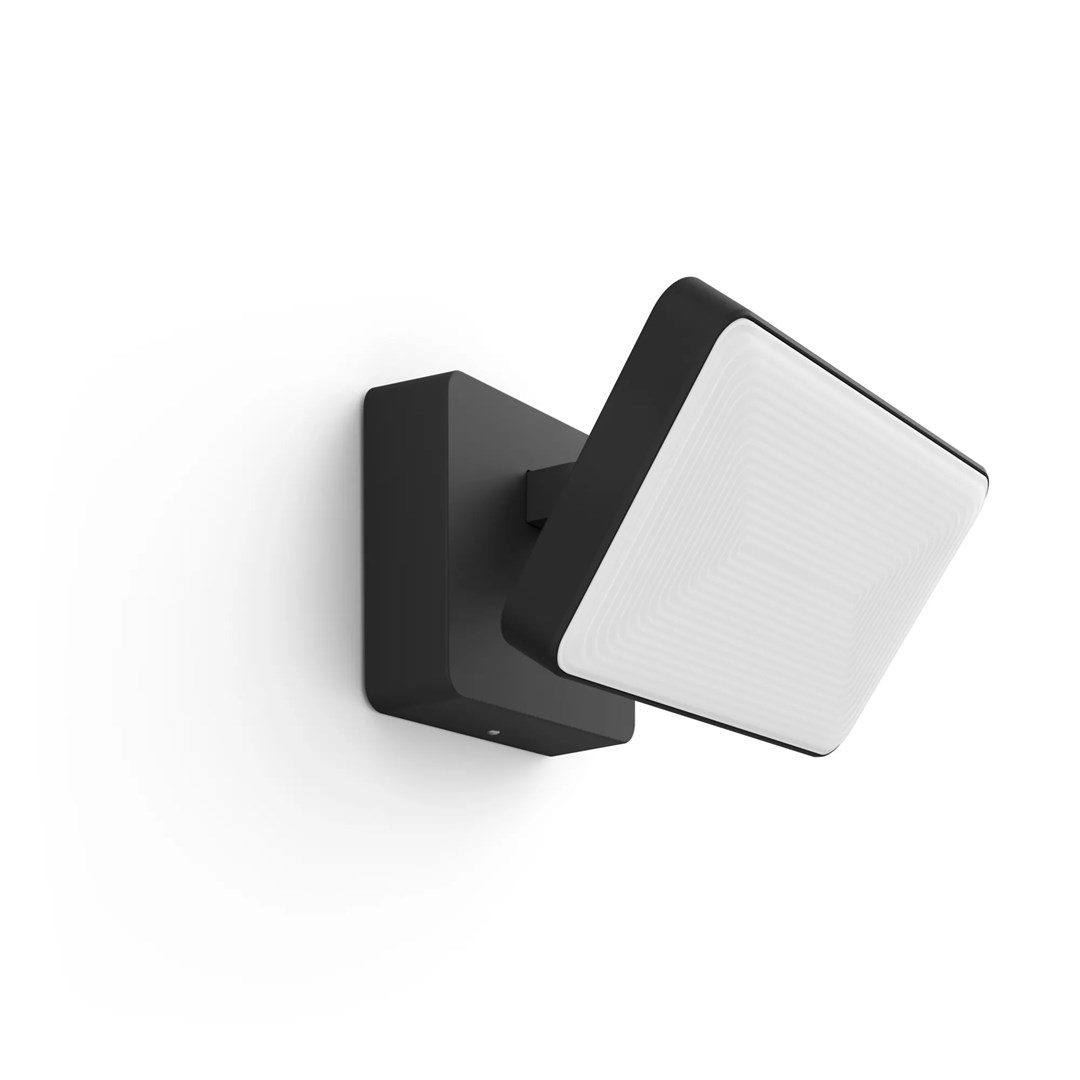 Philips Hue White and colour ambience Discover Outdoor Floodlight-4