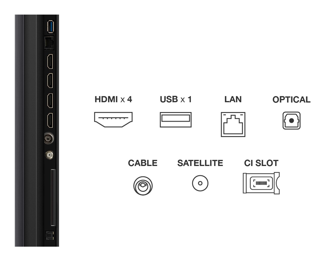 TV TCL Premium QD-MiniLED 55Q6C Google TV (139 cm, 4K UHD, HDR10+, Dolby Atmos, Smart TV)-9