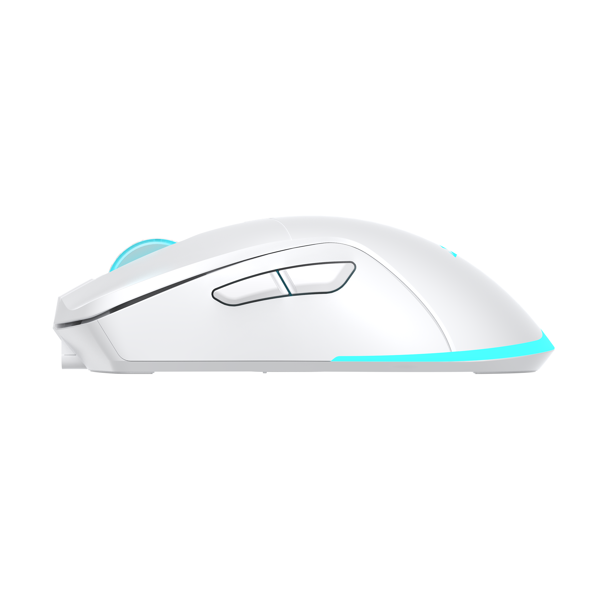 Miš BARACUDA BGM-122 TURTLE WHITE (3200 DPI, bežični)-3