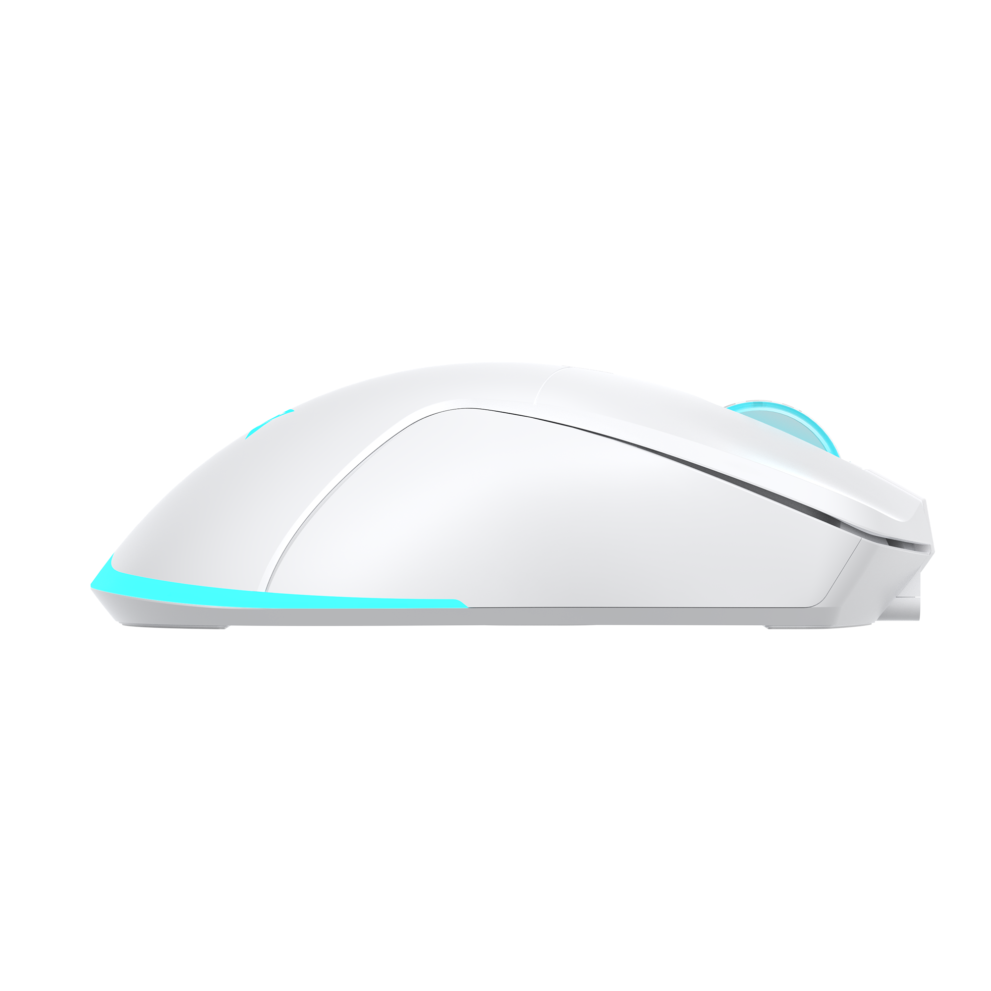 Miš BARACUDA BGM-122 TURTLE WHITE (3200 DPI, bežični)-4